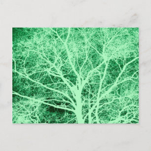 Carte Postale Silhouette d'arbre vert