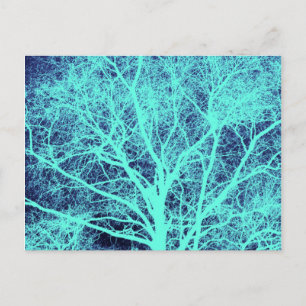 Carte Postale Silhouette d'arbre vert