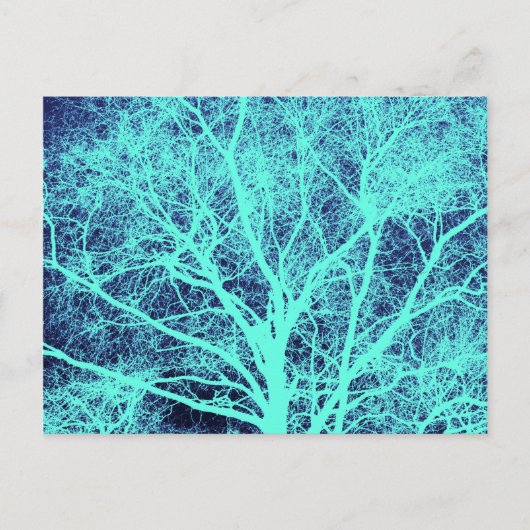 Carte Postale Silhouette d'arbre vert (Devant)