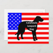Carte Postale silhouette de catahoula nom sur drapeau américain (Devant / Derrière)