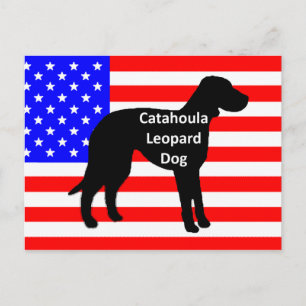 Carte Postale silhouette de catahoula nom sur drapeau américain