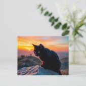Carte postale silhouette de chat noir au coucher d (Debout devant)