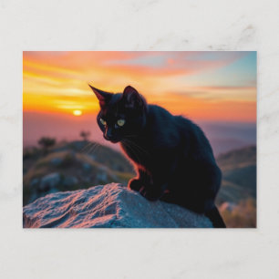 Carte postale silhouette de chat noir au coucher d