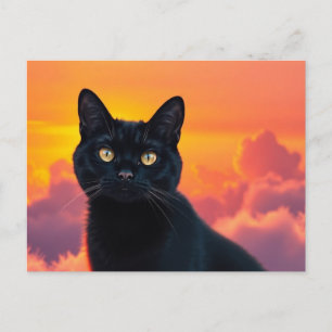 Carte postale silhouette de chat noir au coucher d