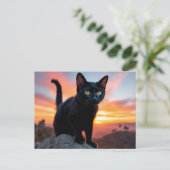 Carte postale silhouette de chat noir au coucher d (Debout devant)