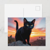 Carte postale silhouette de chat noir au coucher d (Devant / Derrière)
