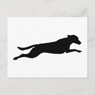 Carte Postale Silhouette de chien de saut