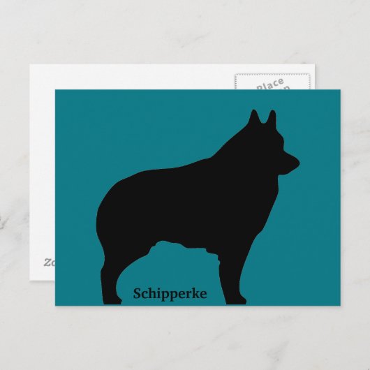 Carte Postale Silhouette de chien de Schipperke (Devant / Derrière)