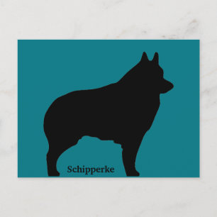 Carte Postale Silhouette de chien de Schipperke