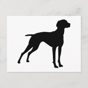 Carte Postale Silhouette de chien Vizsla (noir)