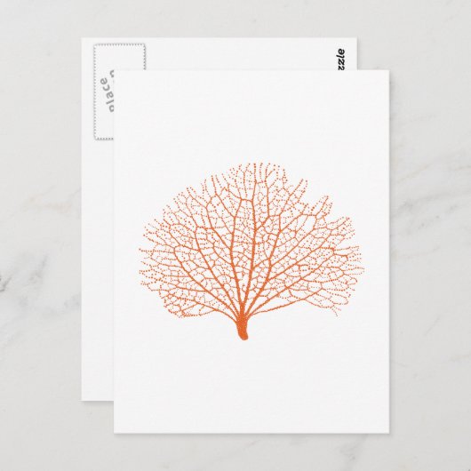 Carte Postale silhouette de corail (Devant / Derrière)