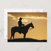 Carte Postale Silhouette de cow-boy à cheval au coucher du solei (Devant / Derrière)