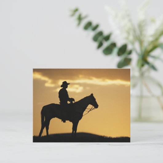 Carte Postale Silhouette de cow-boy à cheval au coucher du solei (Debout devant)