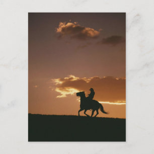 Carte Postale Silhouette de cow-boy galopant
