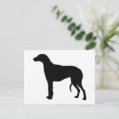 Carte Postale silhouette de deerhound écossais (Debout devant)