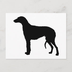 Carte Postale silhouette de deerhound écossais