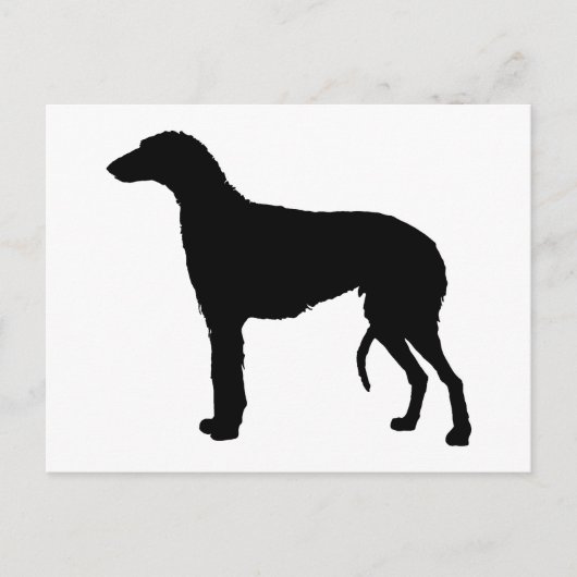 Carte Postale silhouette de deerhound écossais (Devant)