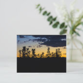 Carte Postale Silhouette de feuilles la nuit (Debout devant)