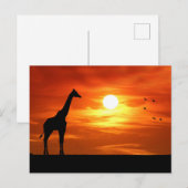 Carte Postale Silhouette de girafe au coucher du soleil (Devant / Derrière)