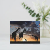 Carte Postale silhouette de girafe d'animal sauvage de safari de (Debout devant)