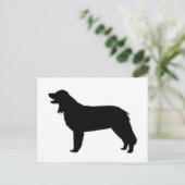 Carte Postale silhouette de hovawart (Debout devant)