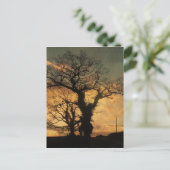 Carte Postale Silhouette de l'arbre (Debout devant)
