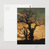Carte Postale Silhouette de l'arbre (Devant / Derrière)