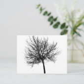 Carte Postale Silhouette de l'arbre (Debout devant)