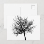 Carte Postale Silhouette de l'arbre (Devant / Derrière)
