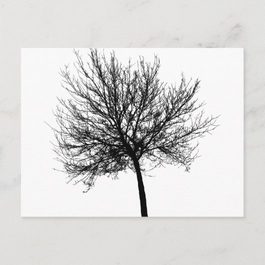 Carte Postale Silhouette de l'arbre (Devant)