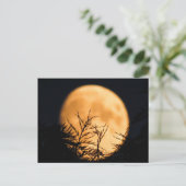 Carte Postale Silhouette de lune (Debout devant)