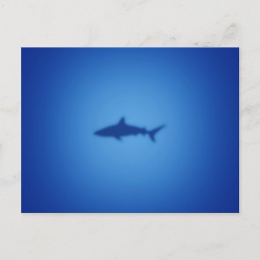 Carte Postale Silhouette de requin (Devant)