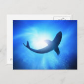 Carte Postale Silhouette de requin de l'océan profond (Devant / Derrière)