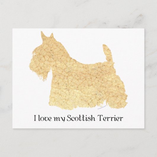Carte Postale Silhouette de Scottish Terrier roux (Devant)