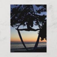 Silhouette de soie aérienne