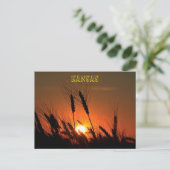 Carte Postale Silhouette de Sunset de Blé Kansas (Debout devant)