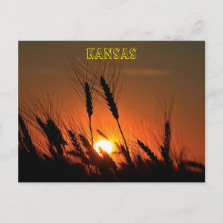 Carte Postale Silhouette de Sunset de Blé Kansas
