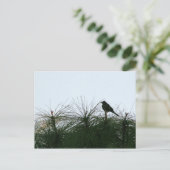 Carte Postale silhouette des oiseaux (Debout devant)
