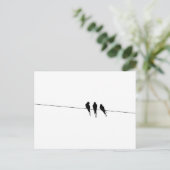 Carte Postale Silhouette des oiseaux noirs sur fil (Debout devant)
