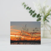 Carte Postale silhouette du coucher de soleil (Debout devant)