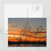 Carte Postale silhouette du coucher de soleil (Devant / Derrière)