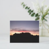Carte Postale Silhouette du coucher de soleil (Debout devant)