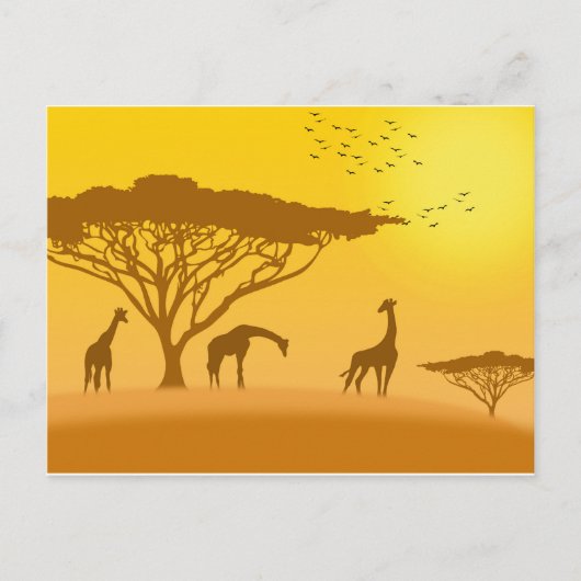 Carte Postale Silhouette du coucher de soleil en Afrique (Devant)