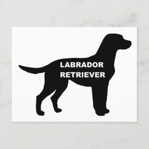 Carte Postale silhouette du nom du labrador