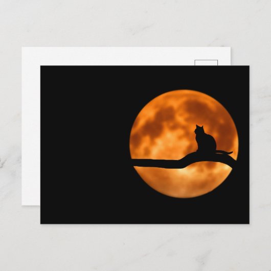 Carte Postale Silhouette d'un chat noir dans un arbre (Devant / Derrière)
