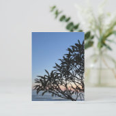 Carte Postale silhouette feuillue (Debout devant)