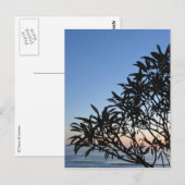 Carte Postale silhouette feuillue (Devant / Derrière)