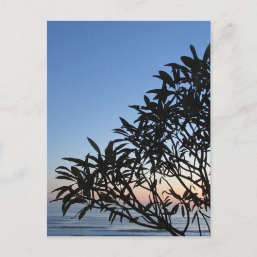 Carte Postale silhouette feuillue (Devant)