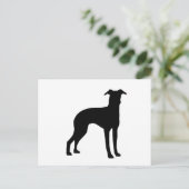 Carte Postale silhouette grisâtre italienne (Debout devant)