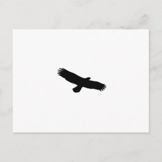 Carte Postale Silhouette Hawk